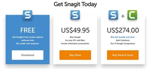 snagit software cost